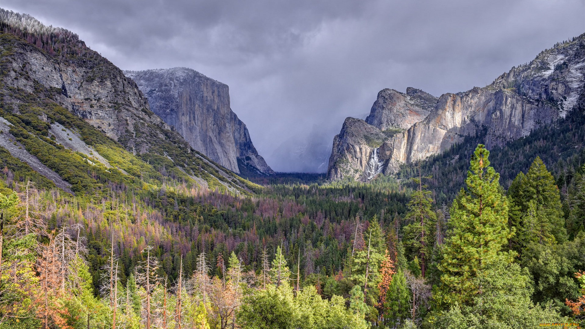 природа, горы, простор