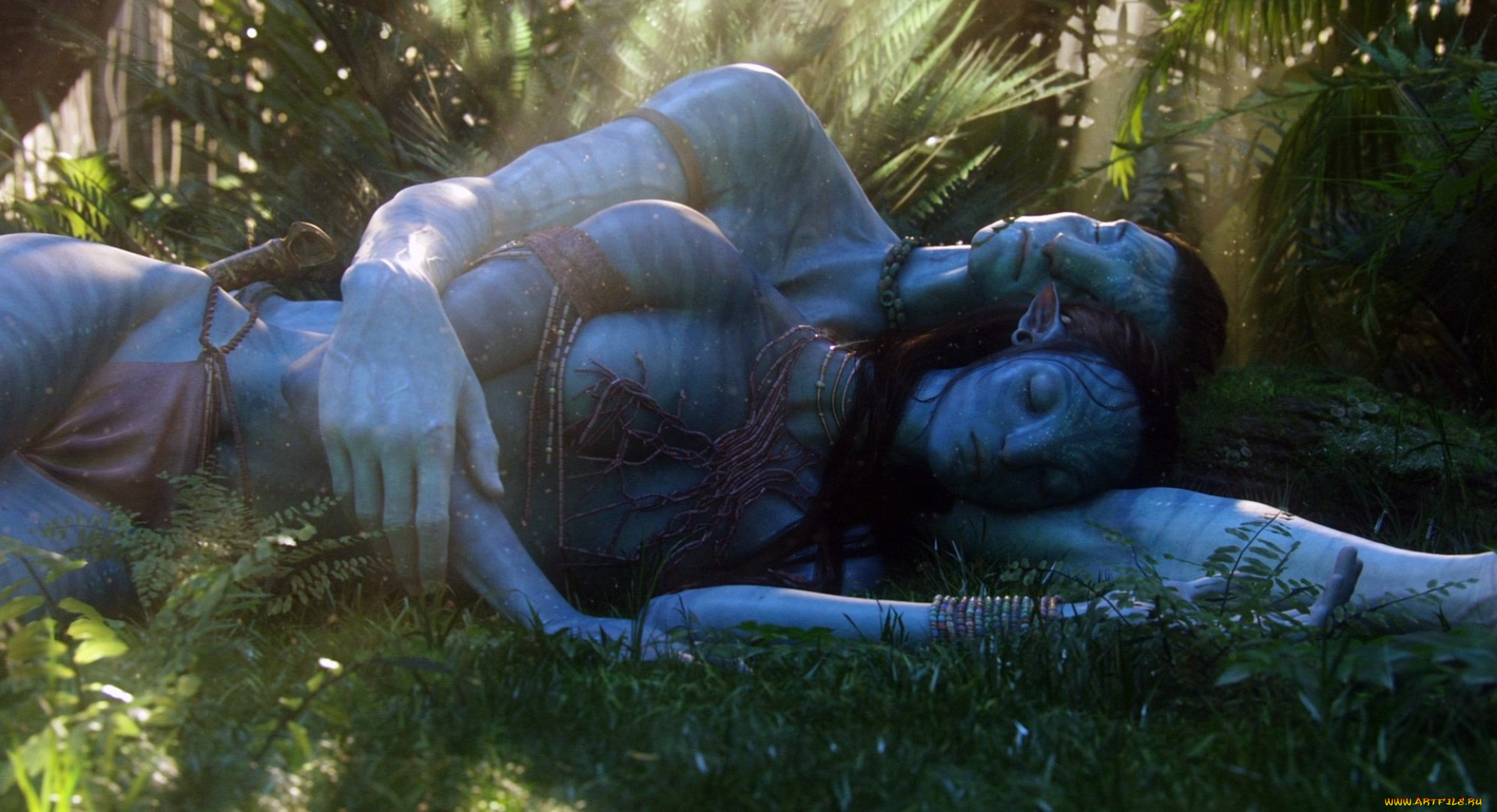 кино, фильмы, avatar, 2, пара, джунгли, аватар, сон, наави