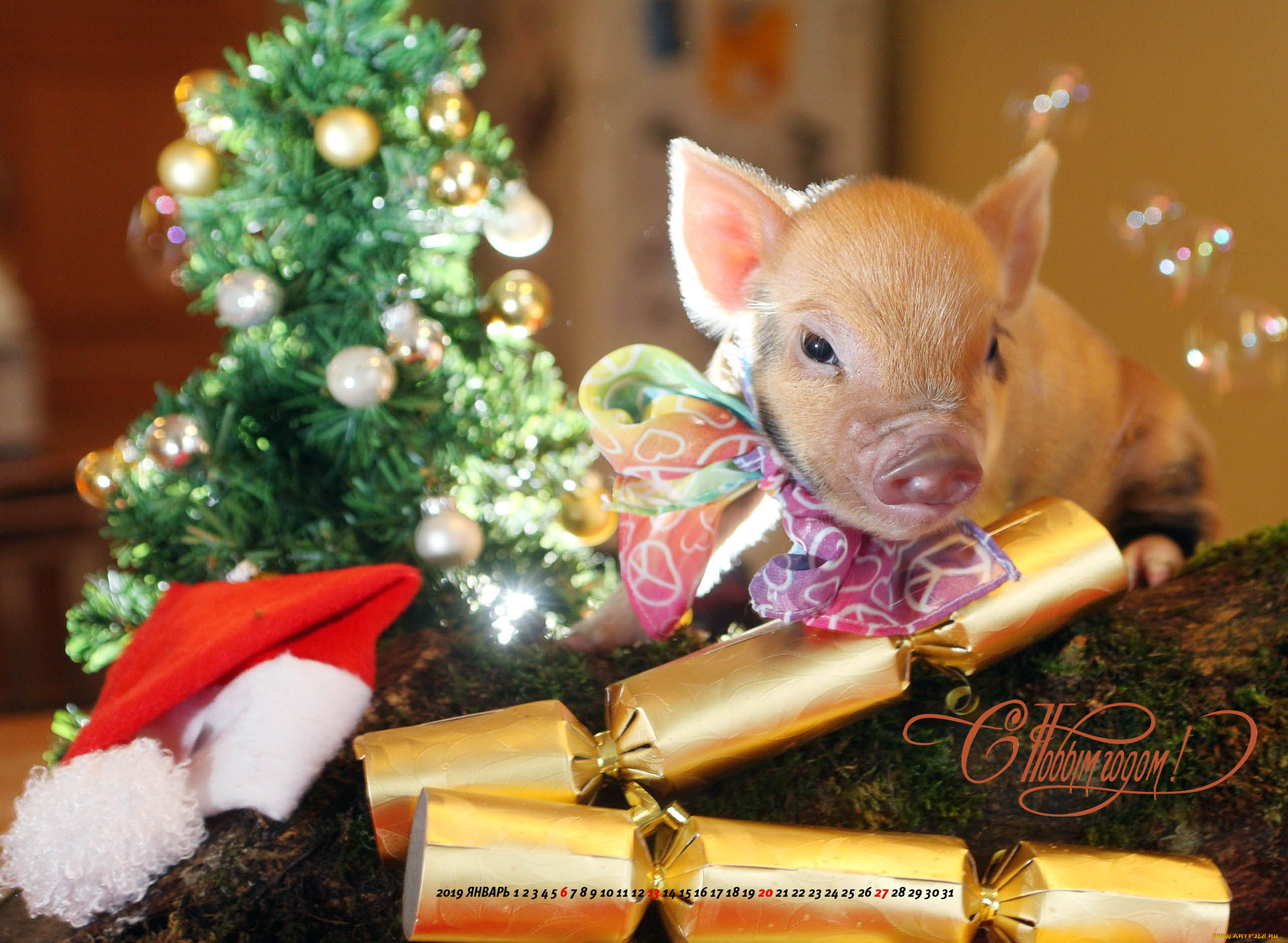 календари, праздники, , салюты, игрушка, елка, шапка, поросенок