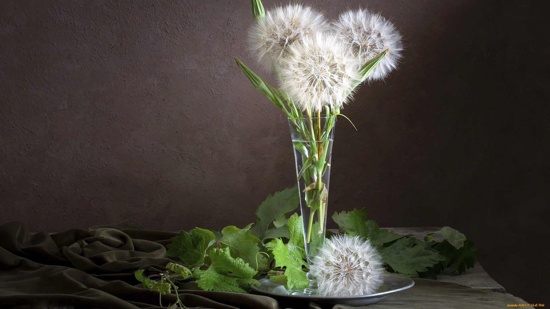 цветы, одуванчики, бокал, букетик, пушистый