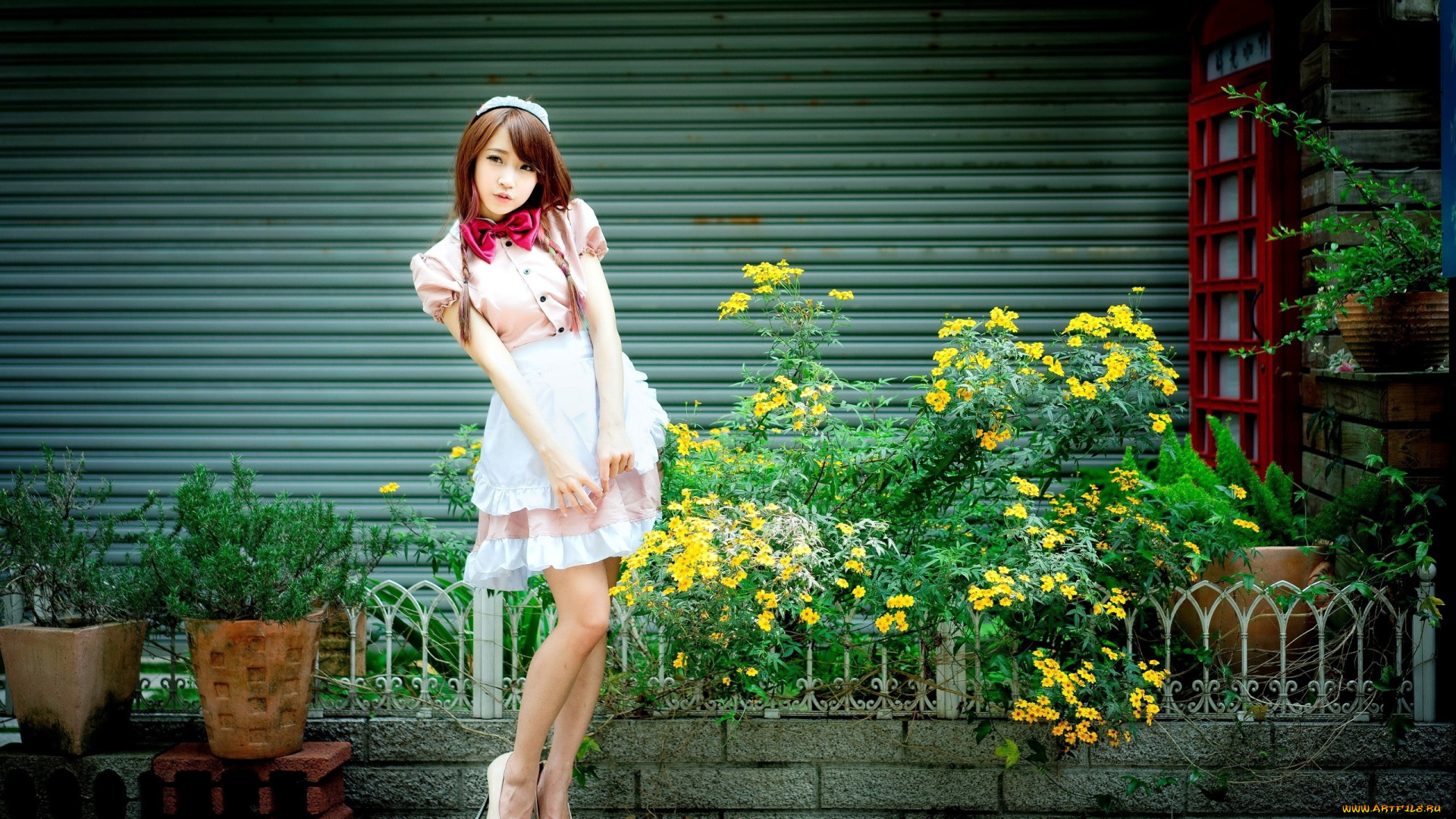 девушки, -, азиатки, косички, бант