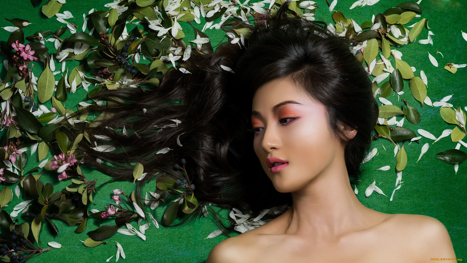 девушки, -, азиатки, лепестки