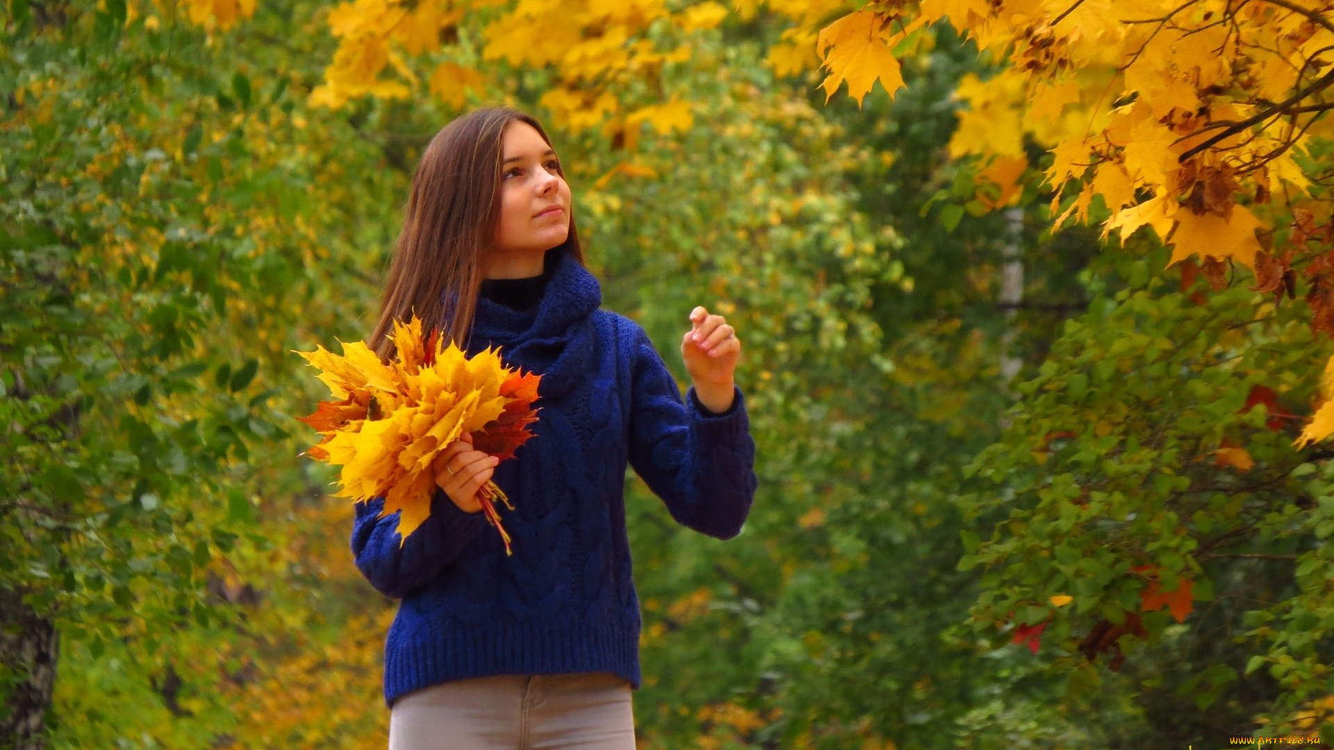 девушки, -, брюнетки, , шатенки, шатенка, свитер, брюки, листья, осень, деревья