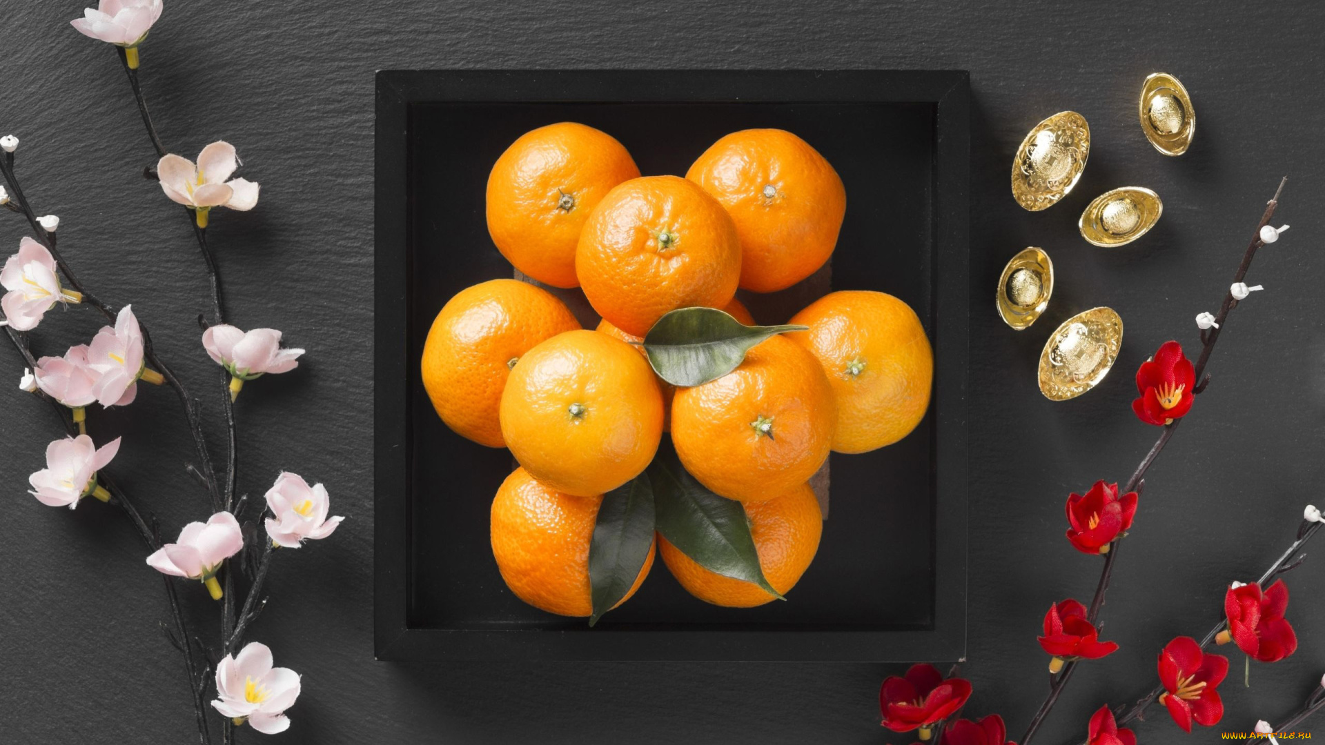 еда, цитрусы, мандарины