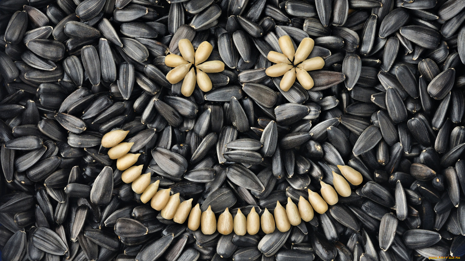 еда, крупы, , зерно, , специи, , семечки, семечки