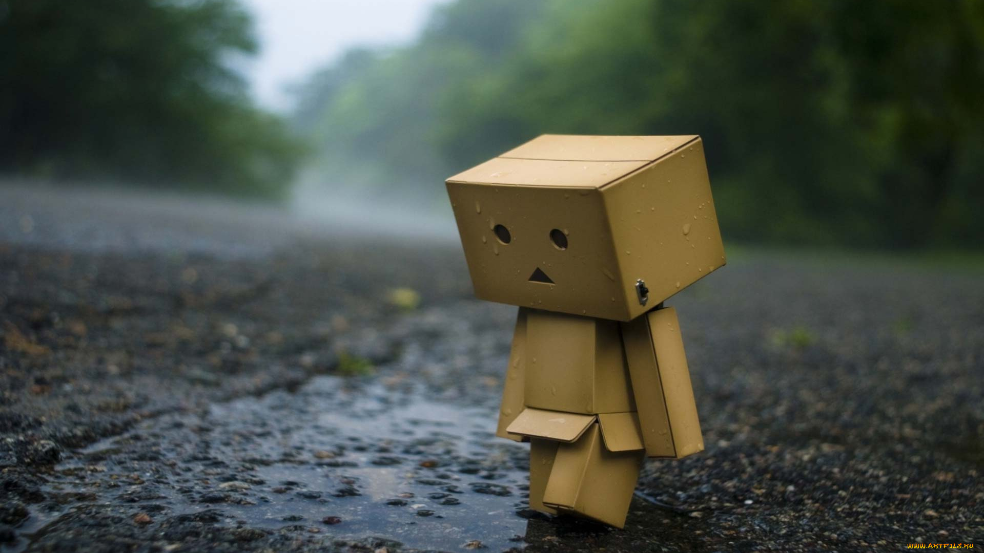 разное, данбо, , danboard, дождь, асфальт, лужи, печаль