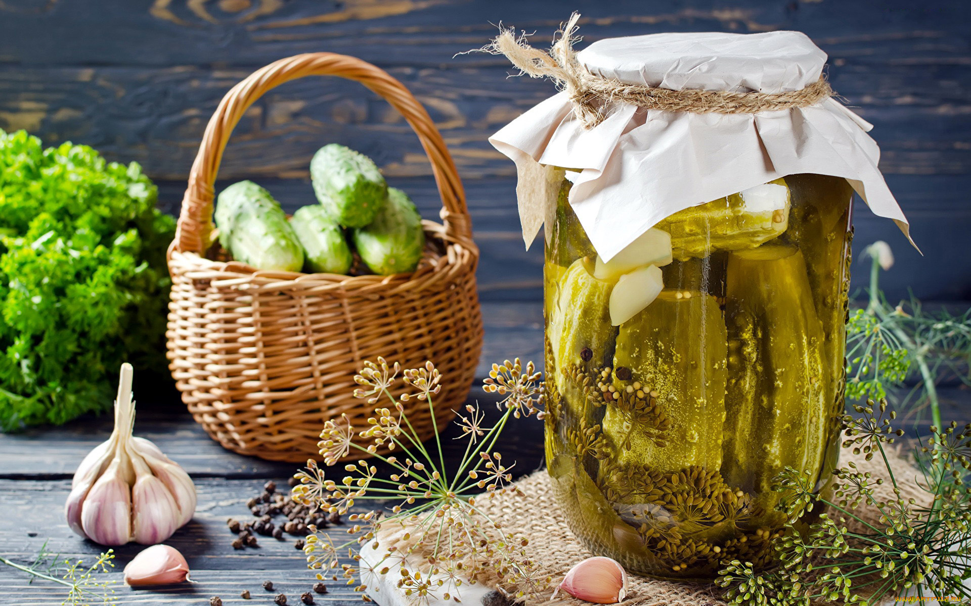 еда, консервация, чеснок, огурцы, укроп