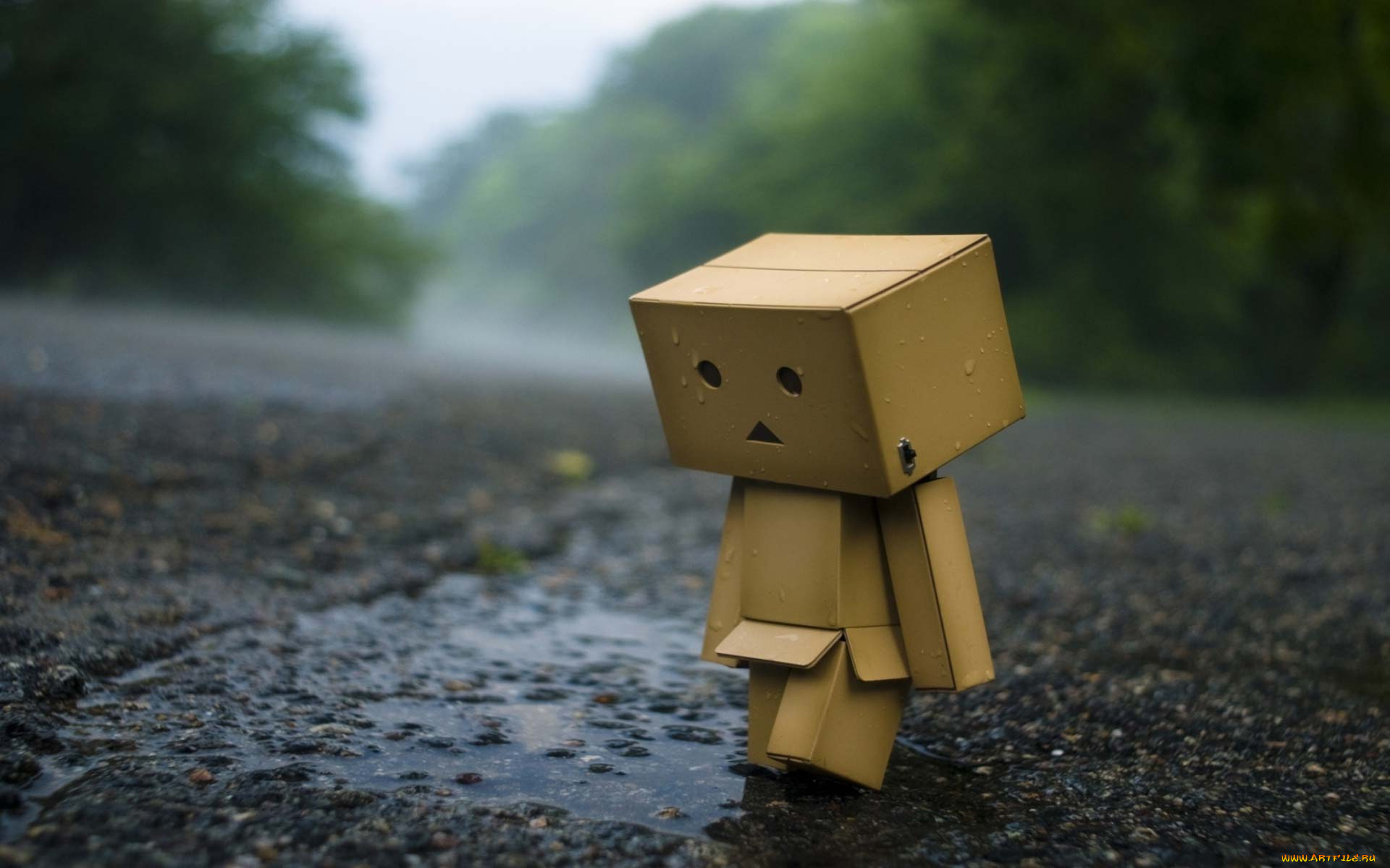 разное, данбо, , danboard, дождь, асфальт, лужи, печаль