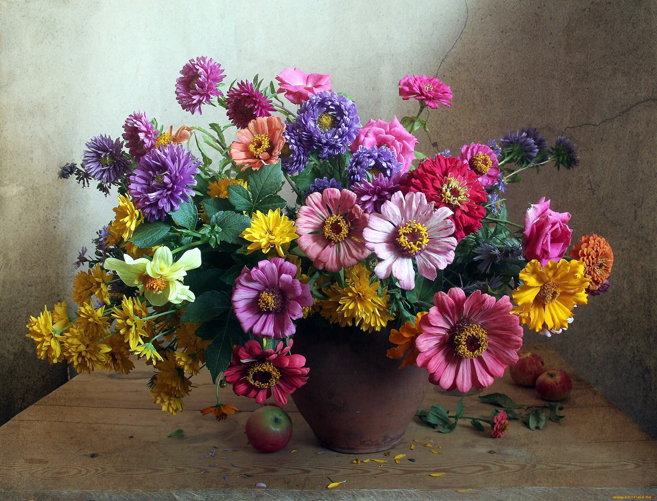 цветы, букеты, , композиции, цинния, астры