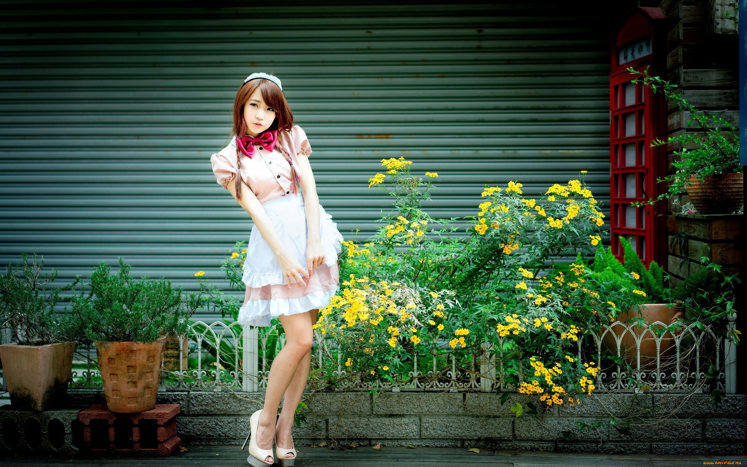 девушки, -, азиатки, косички, бант