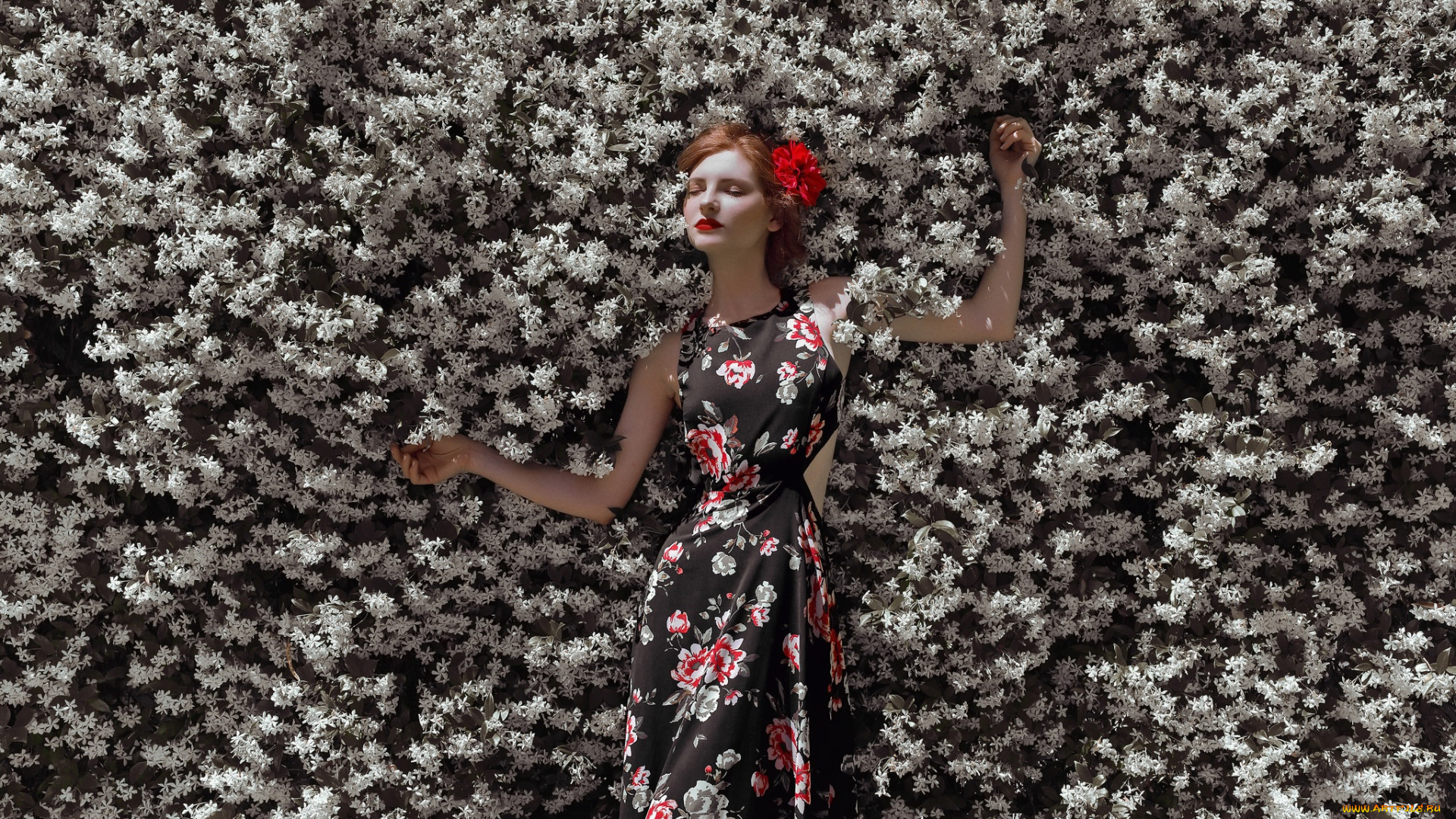 девушки, -, брюнетки, , шатенки, девушка, красивая, супер, секси, няша, нежная, классная, модница, лапочка, мадам