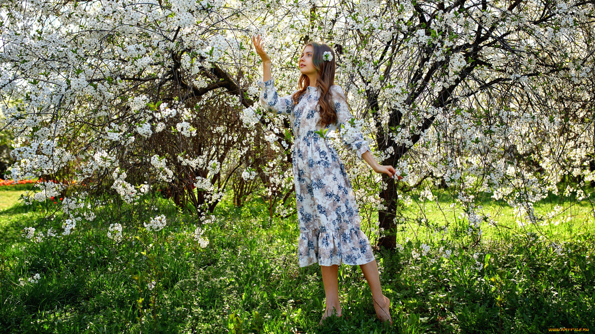 девушки, -, брюнетки, , шатенки, девушка, красивая, супер, секси, няша, нежная, классная, модница, лапочка, мадам