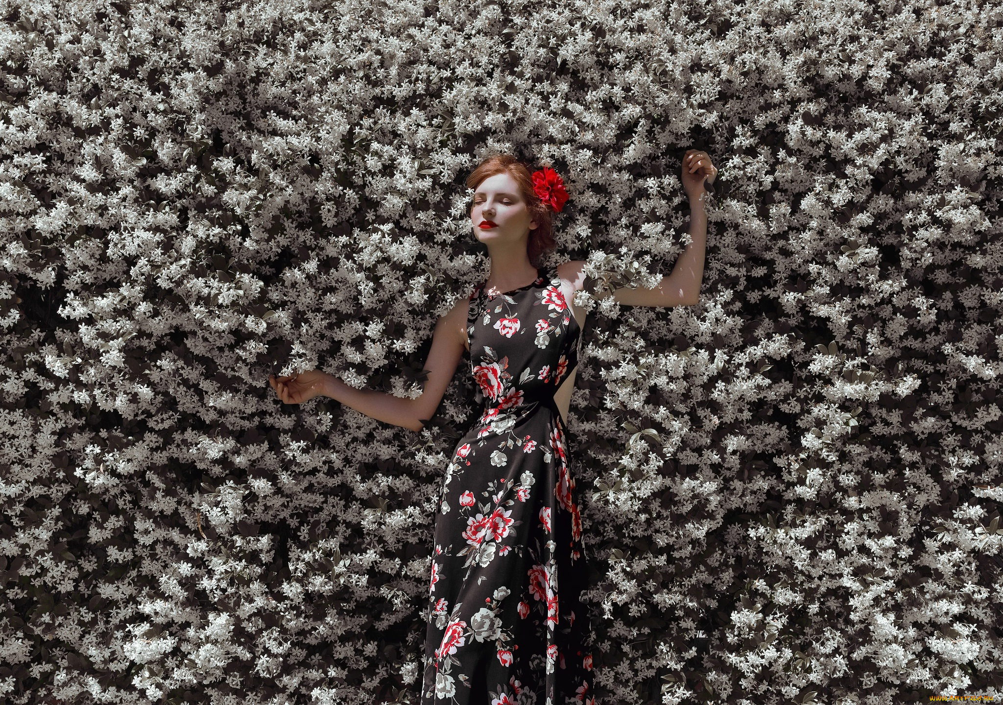 девушки, -, брюнетки, , шатенки, девушка, красивая, супер, секси, няша, нежная, классная, модница, лапочка, мадам