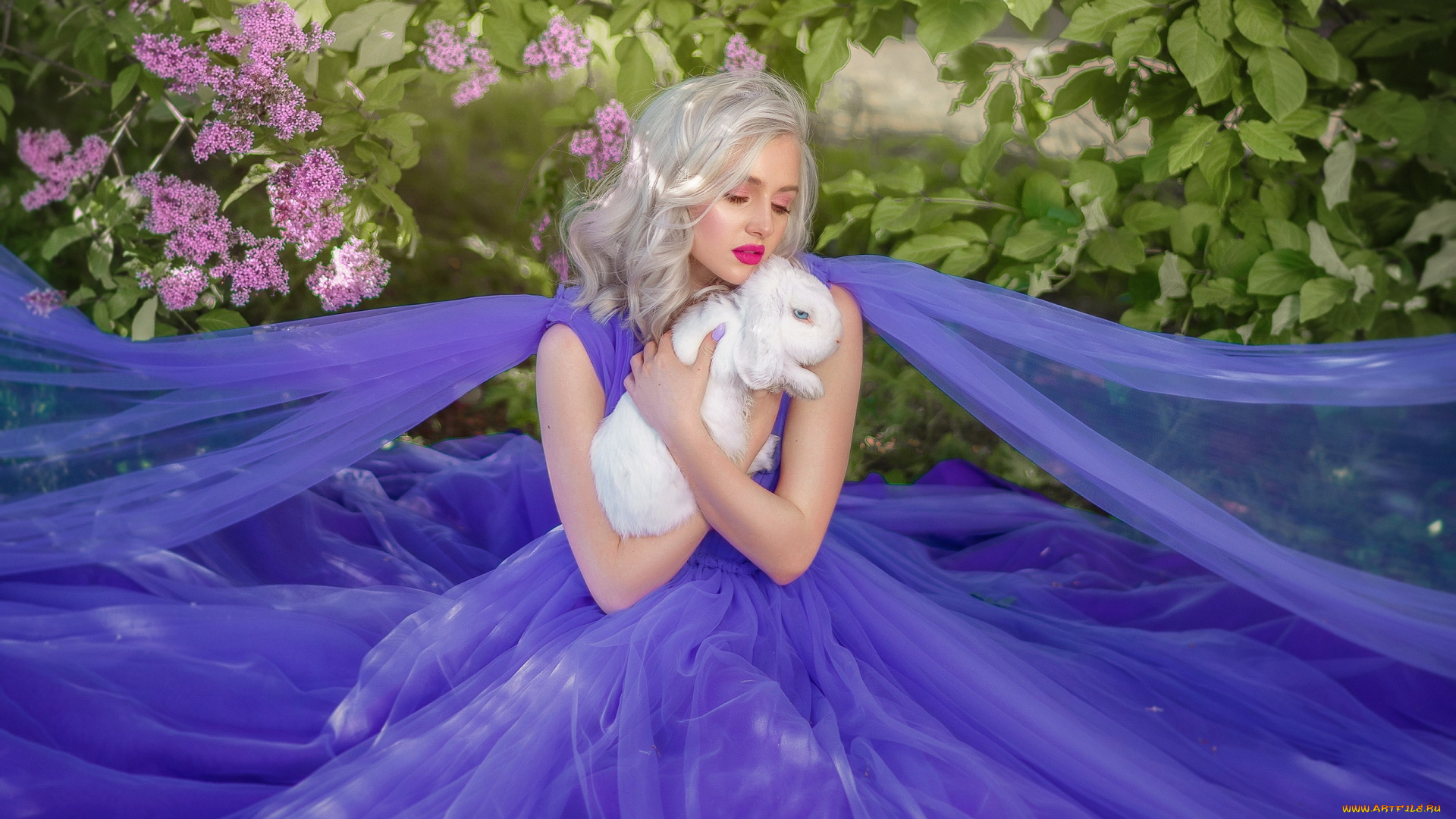 девушки, -, блондинки, , светловолосые, лиловый, шелк, пепельные, волосы, кролик