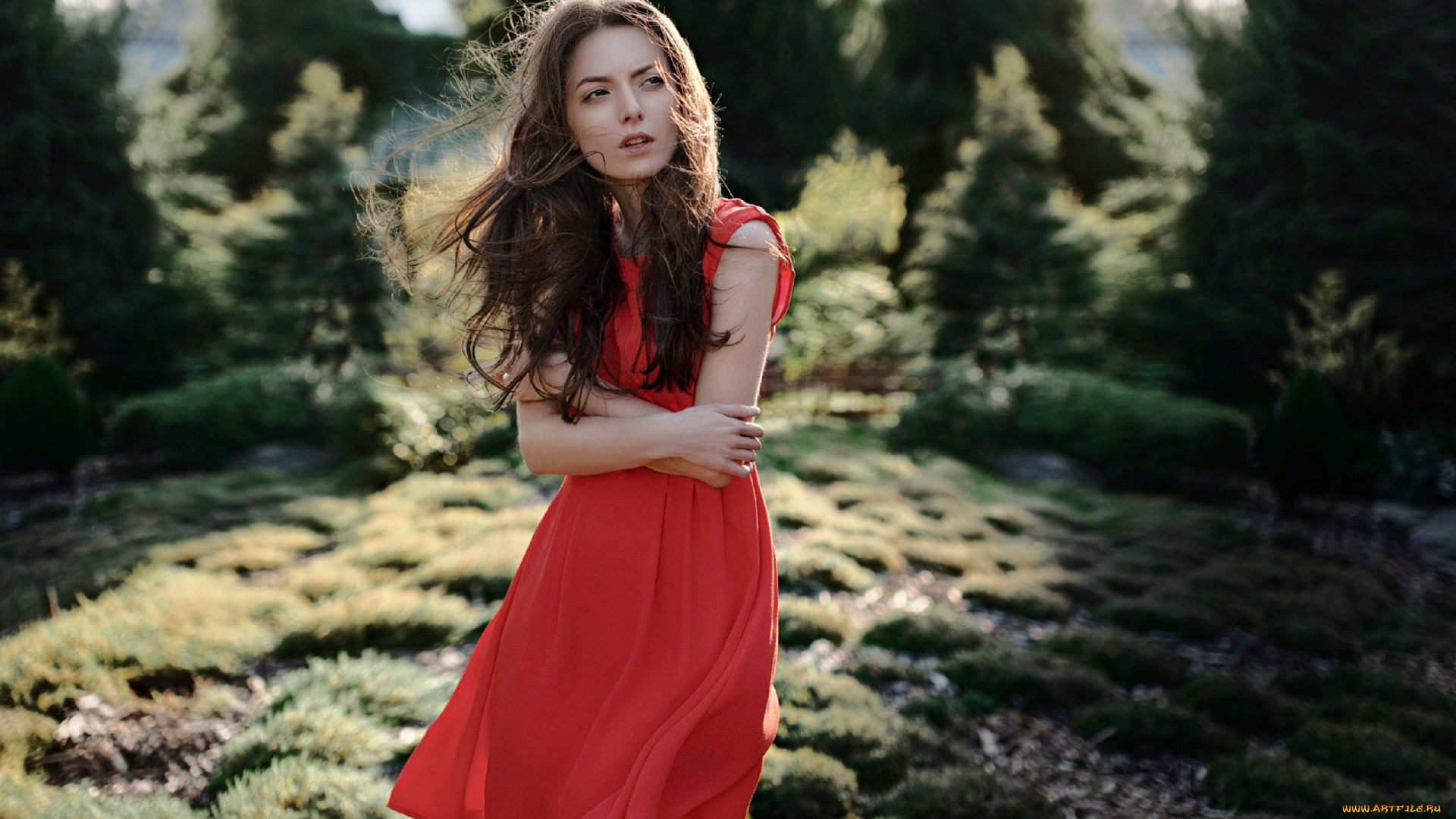 девушки, -, брюнетки, , шатенки, брюнетка, красное, платье, карина, сунцева