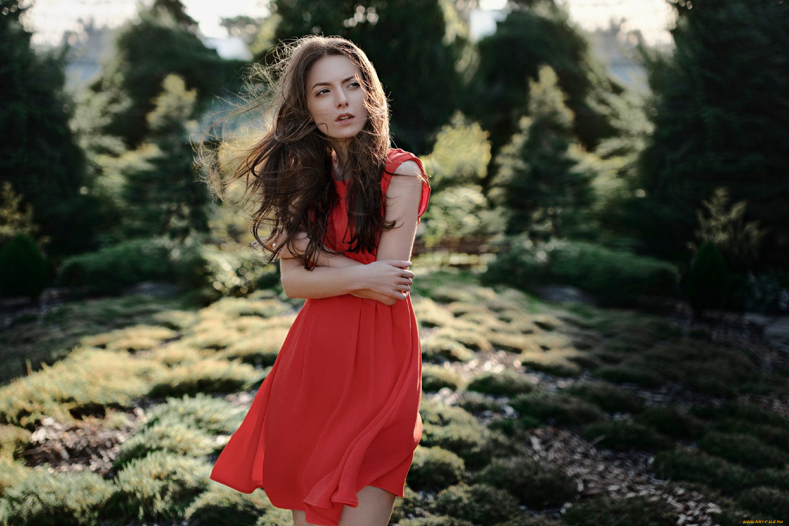 девушки, -, брюнетки, , шатенки, брюнетка, красное, платье, карина, сунцева