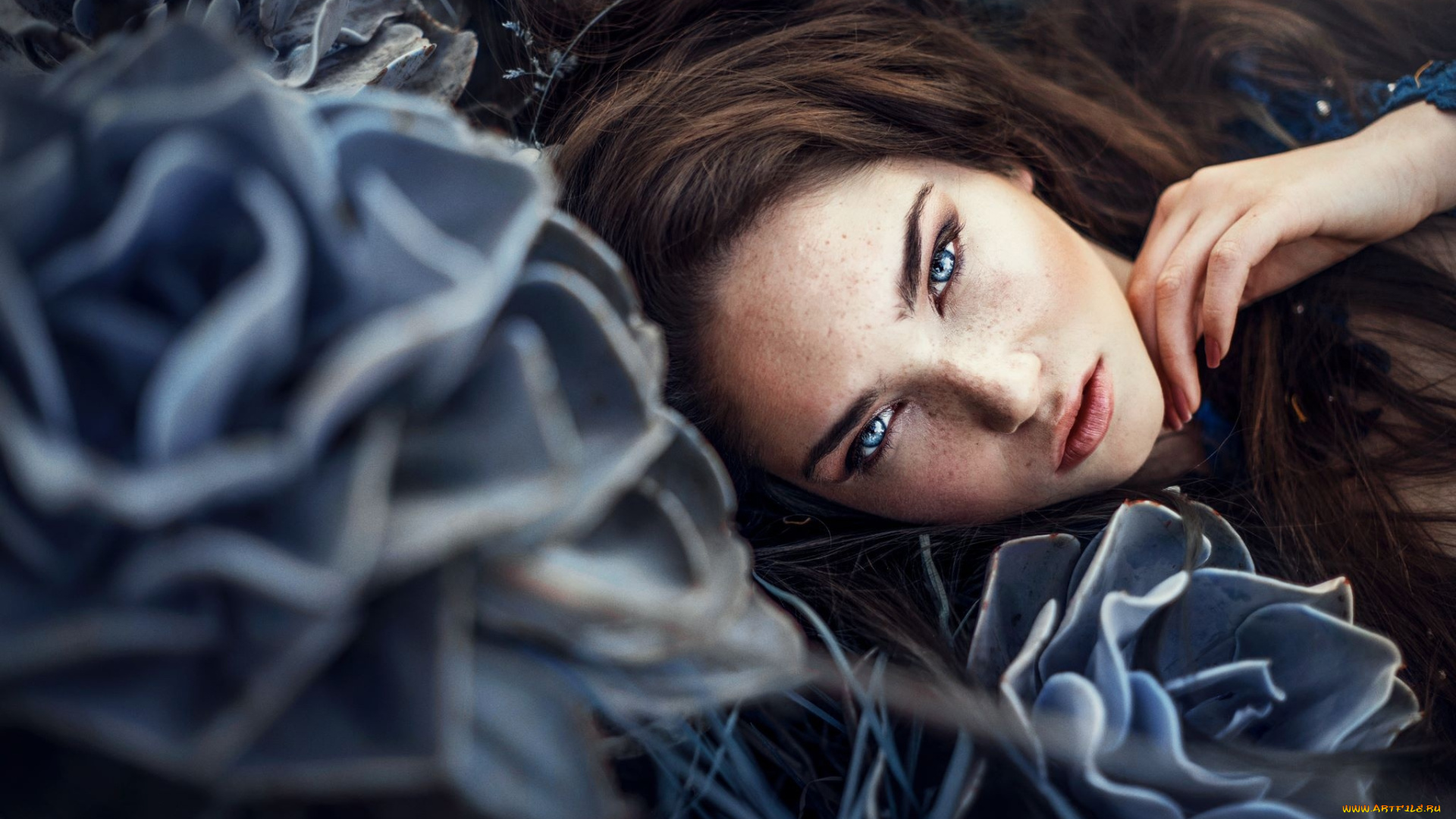 девушки, -, лица, , портреты, брюнетка, веснушки