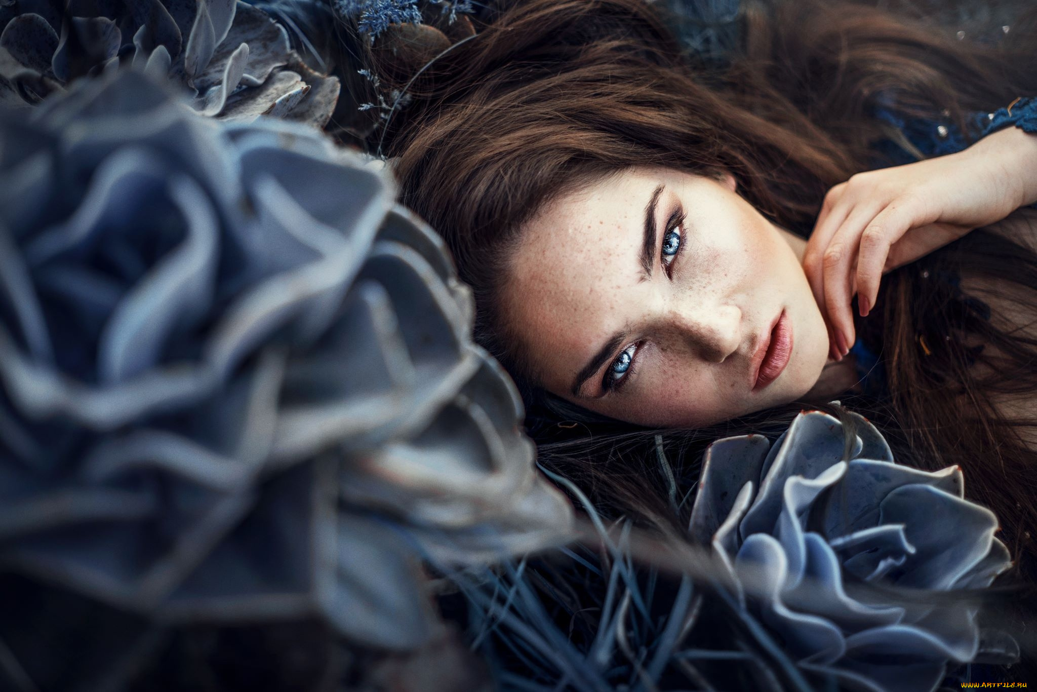 девушки, -, лица, , портреты, брюнетка, веснушки