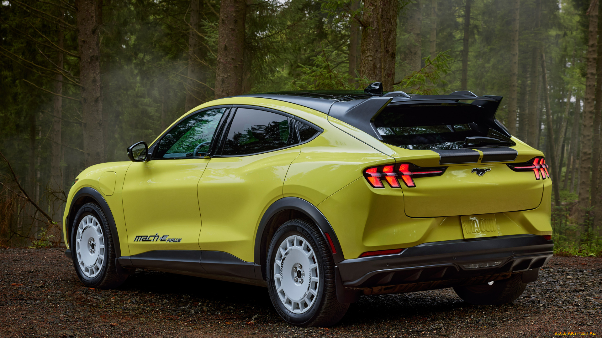 автомобили, ford, mustang