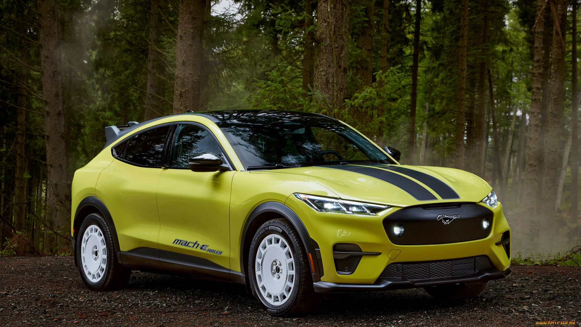 автомобили, ford, mustang