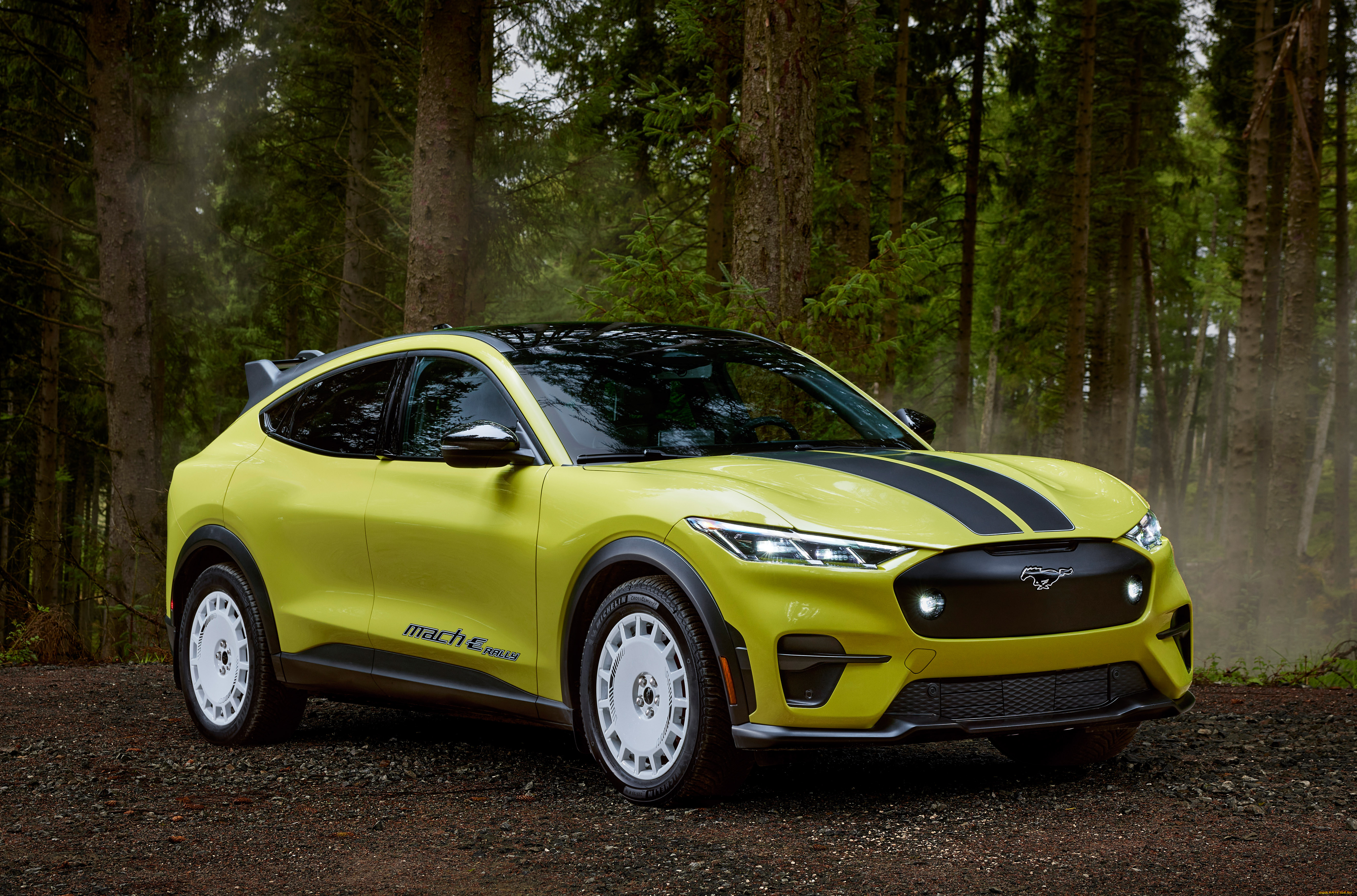 автомобили, ford, mustang