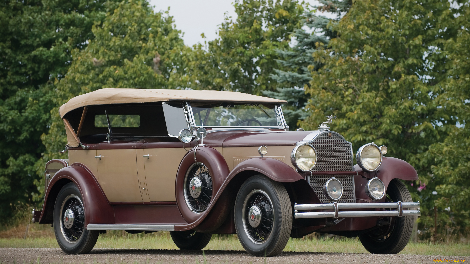 автомобили, packard