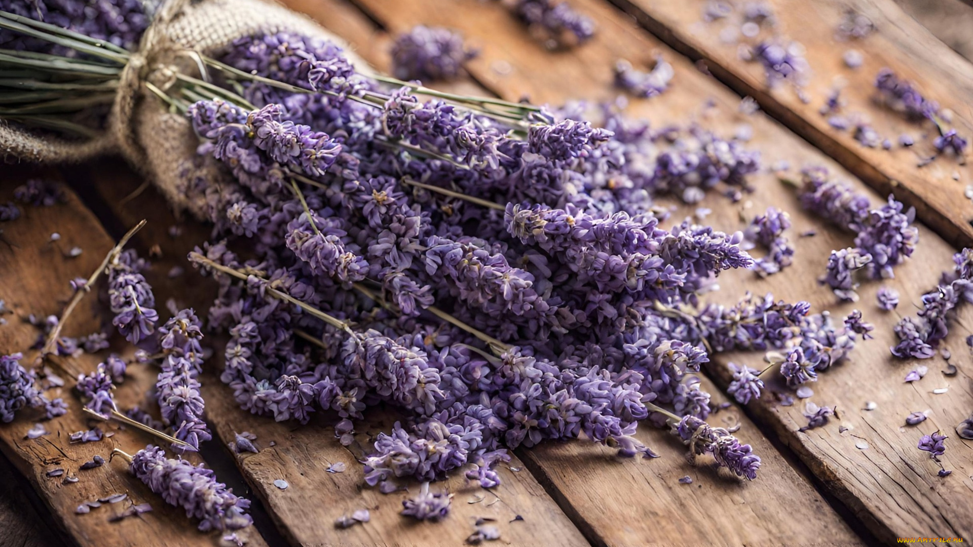 цветы, лаванда, доски, лепестки