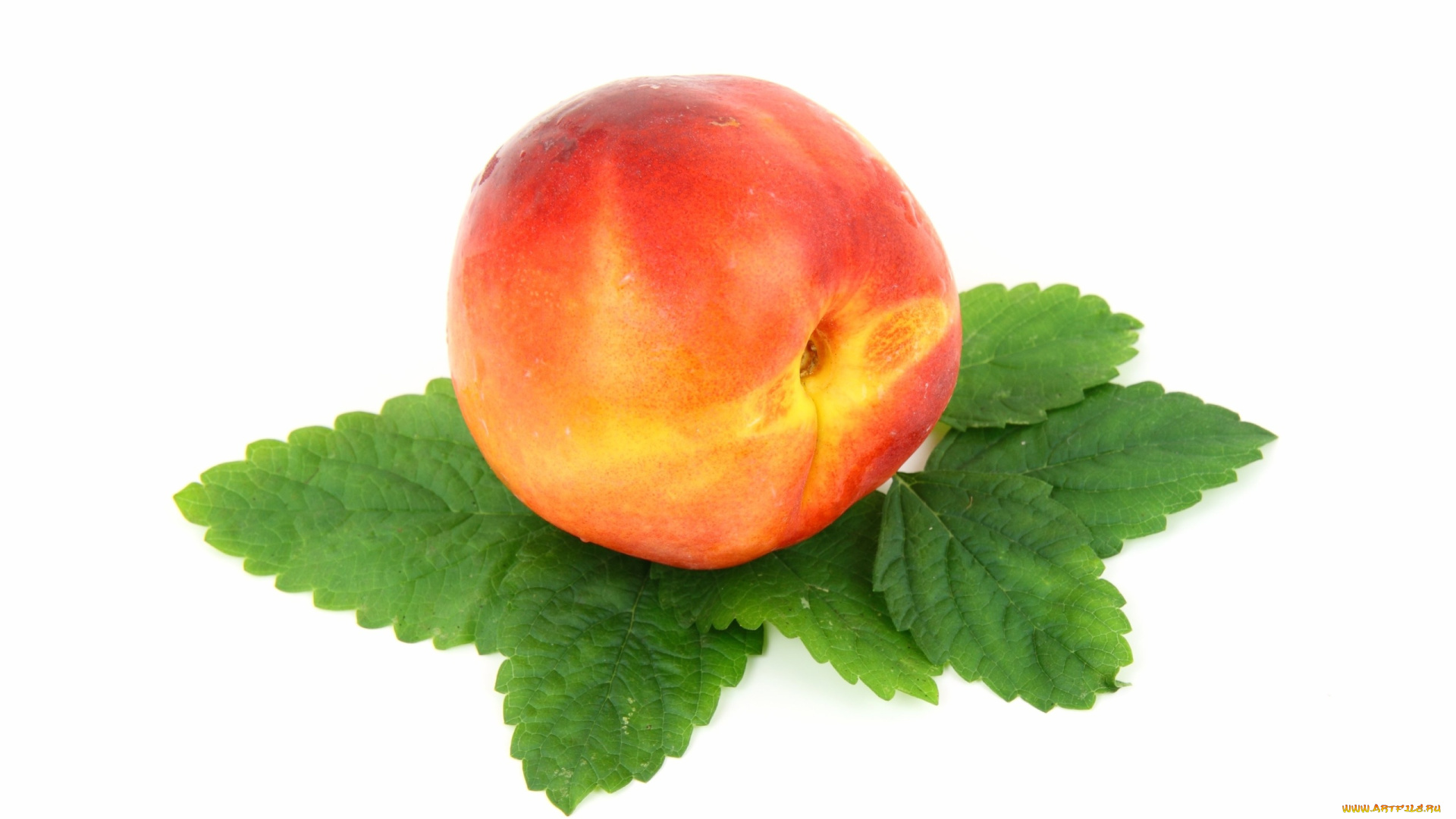 еда, персики, , сливы, , абрикосы, нектарин