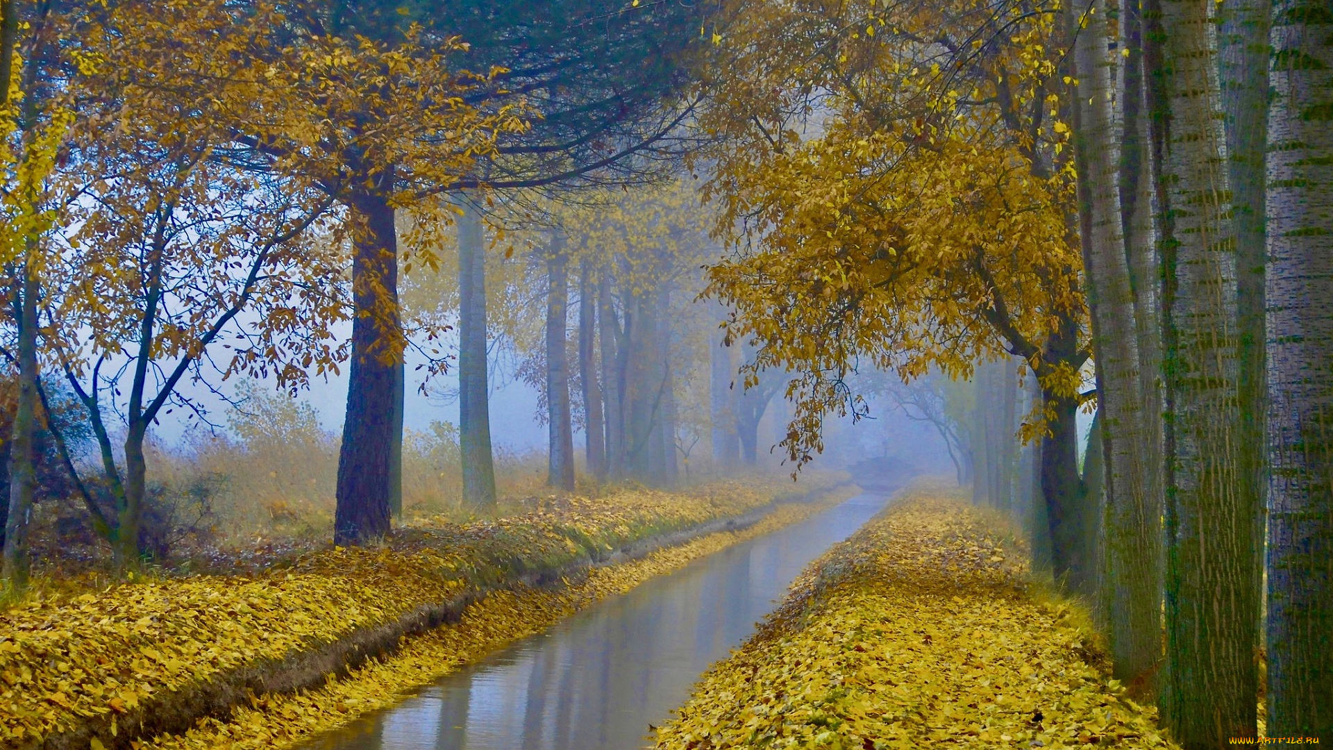 природа, реки, озера, пейзаж