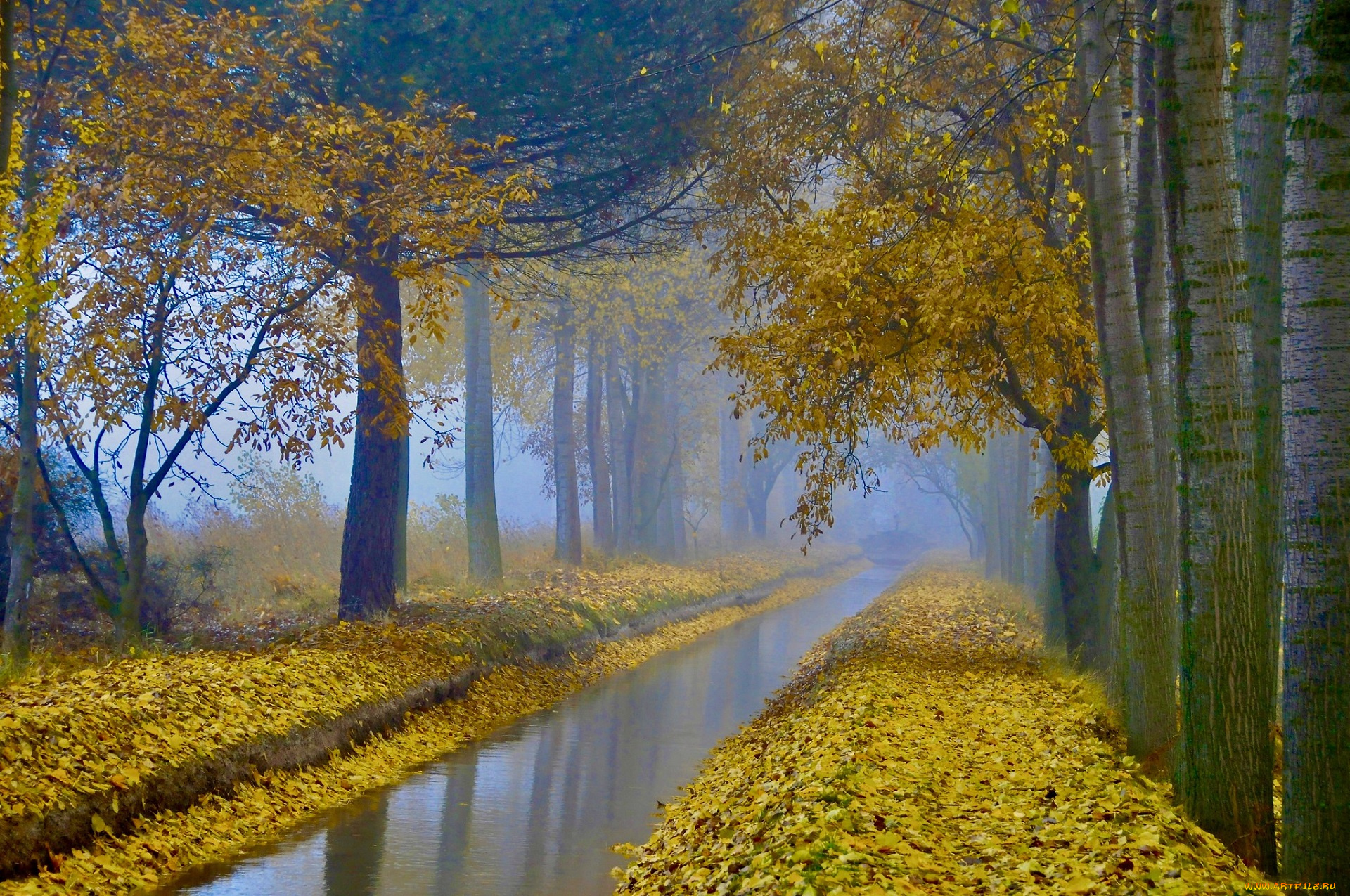 природа, реки, озера, пейзаж