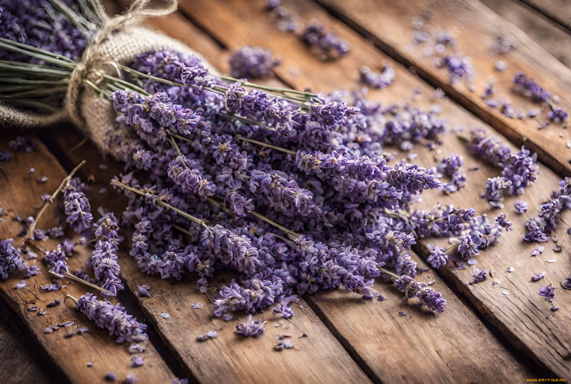 цветы, лаванда, доски, лепестки