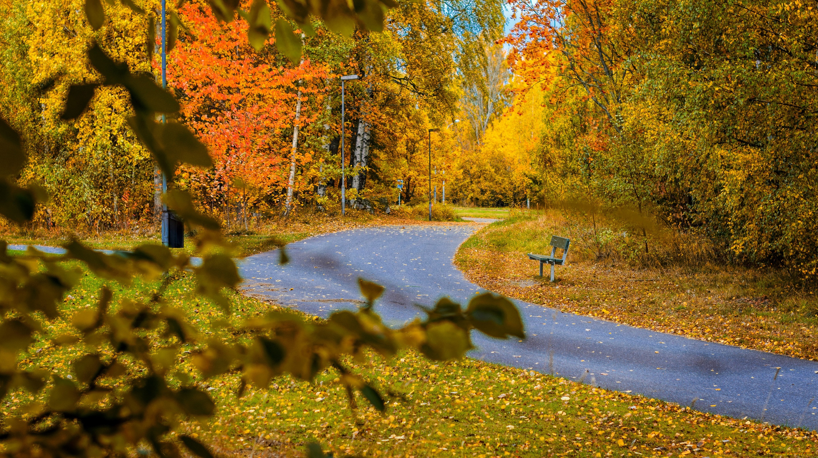 природа, дороги, парк, лес, осень, деревья, листья, дорога, скамейка