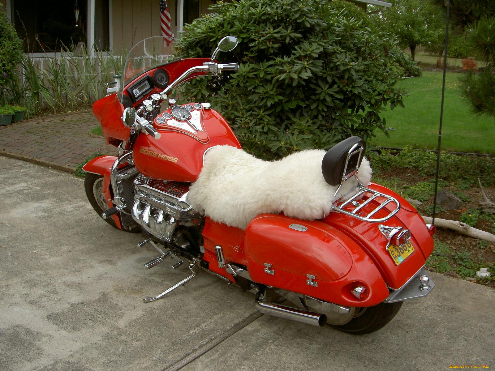 мотоциклы, customs