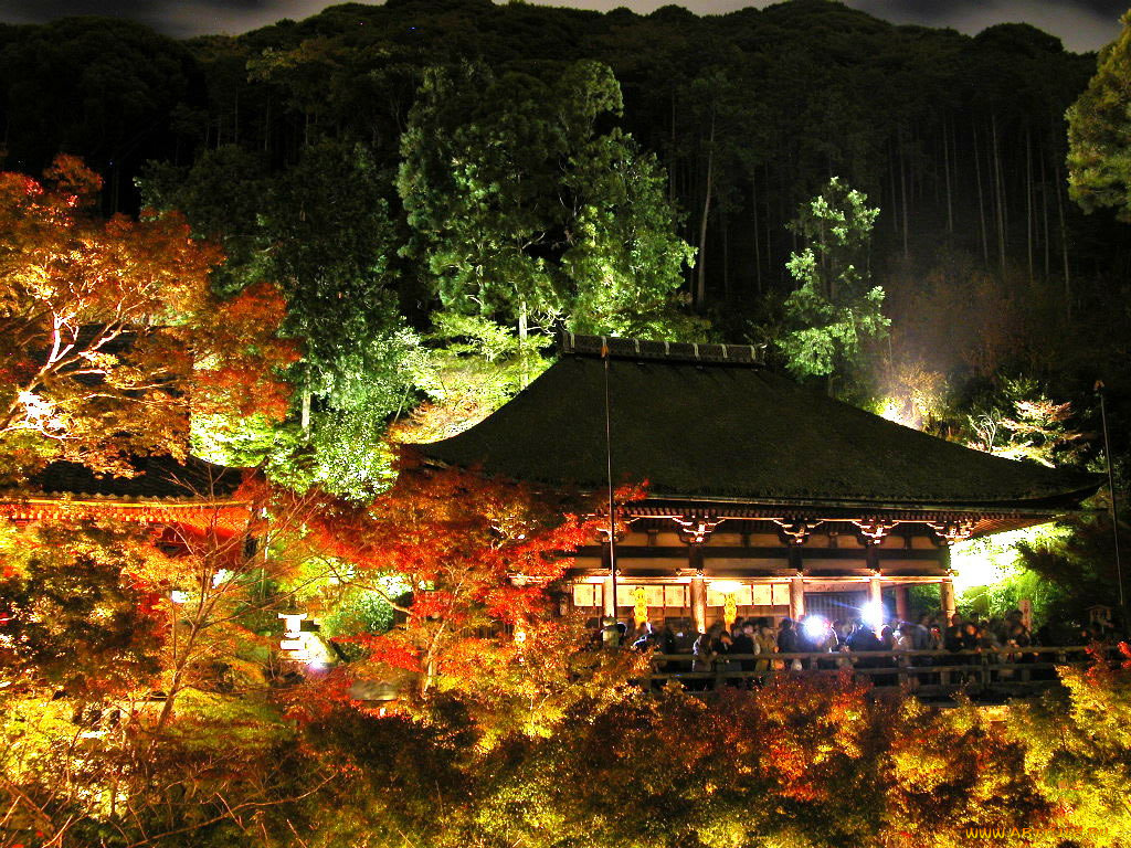 города, огни, ночного