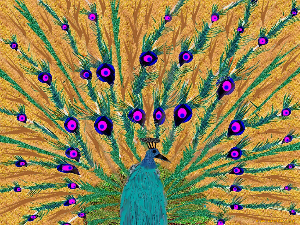 рисованные, животные, птицы, павлины