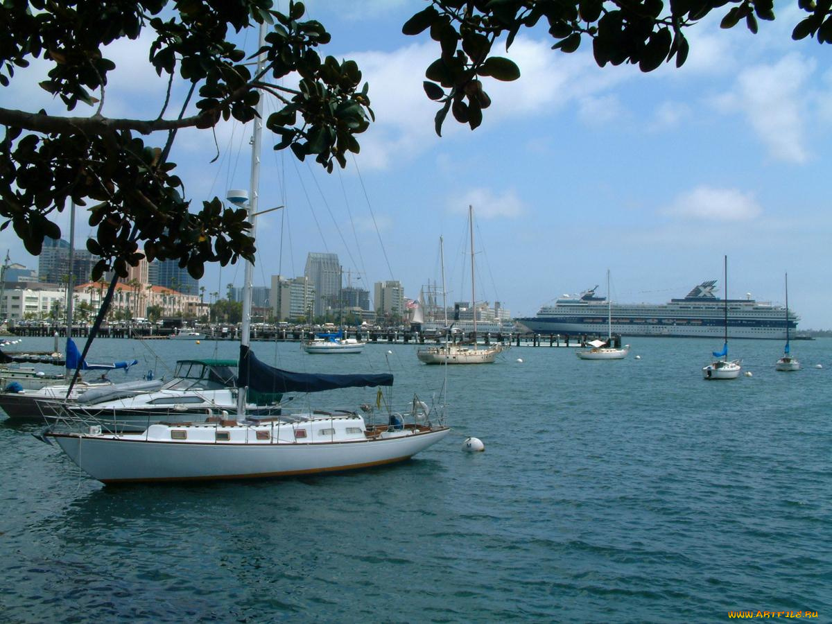 корабли, Яхты