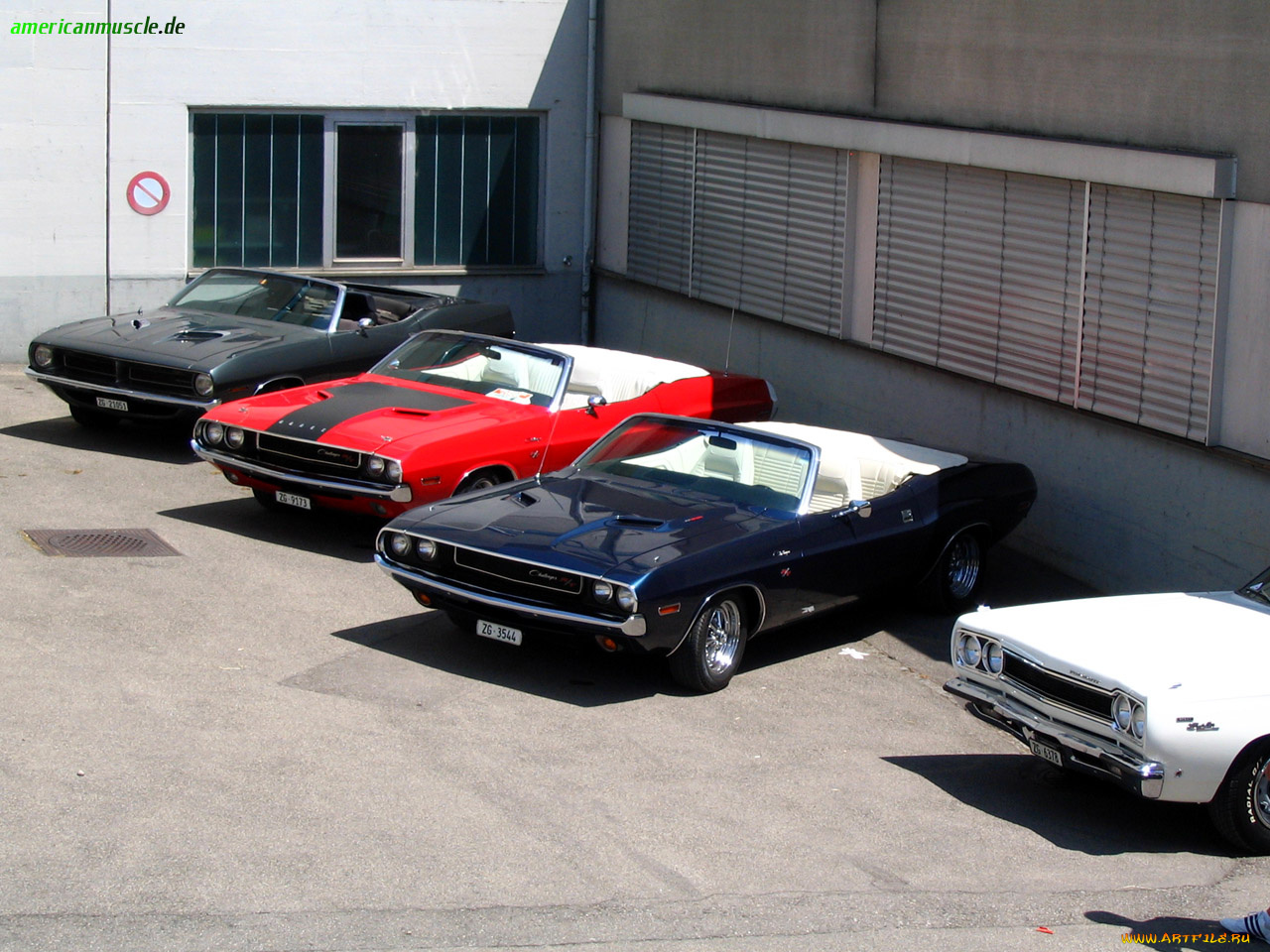 автомобили, разные, вместе