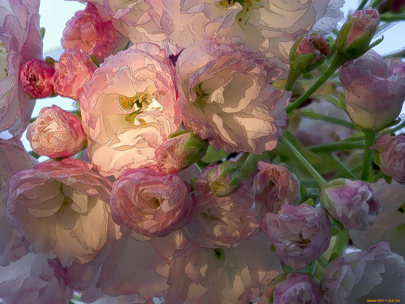 рисованные, цветы