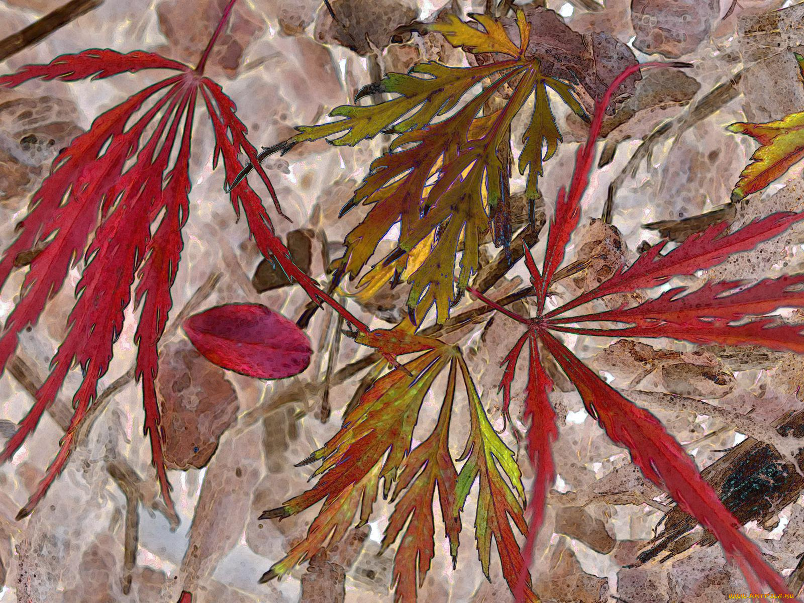 рисованные, природа