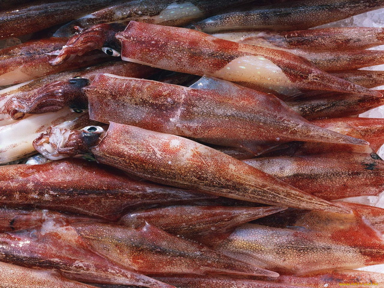 еда, рыба, морепродукты, суши, роллы