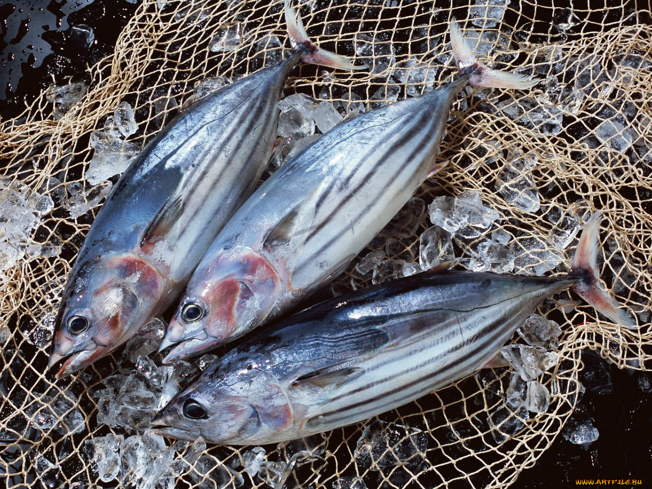 еда, рыба, морепродукты, суши, роллы