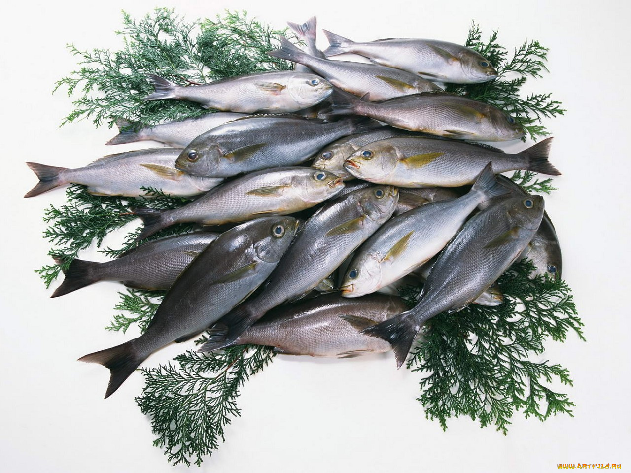 еда, рыба, морепродукты, суши, роллы