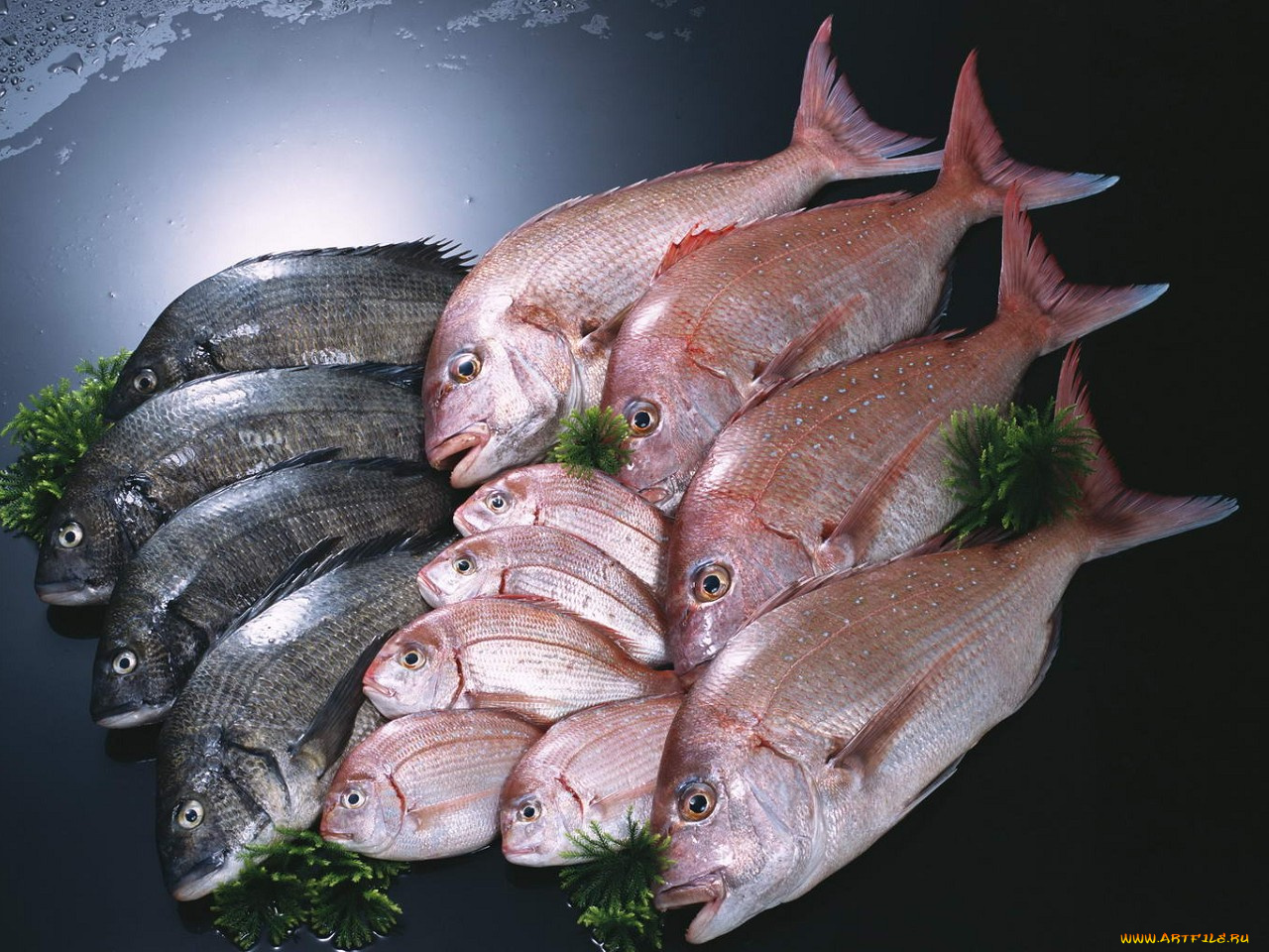 еда, рыба, морепродукты, суши, роллы