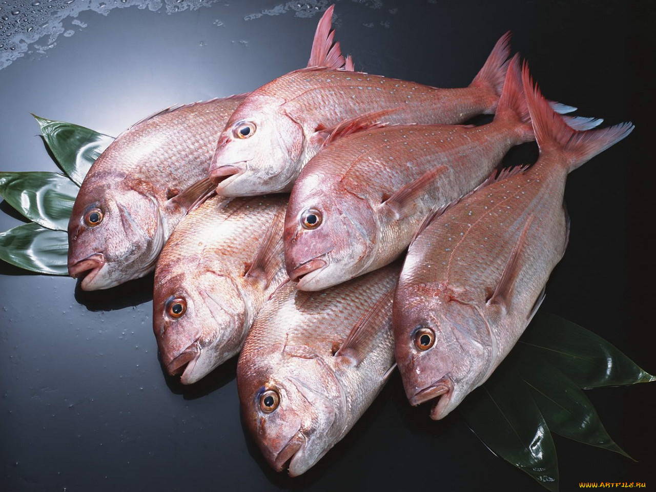 еда, рыба, морепродукты, суши, роллы