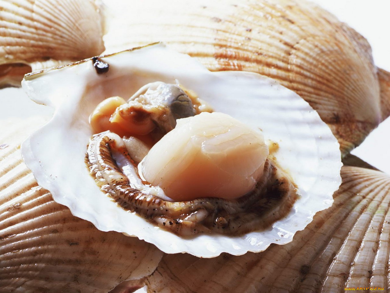 еда, рыба, морепродукты, суши, роллы