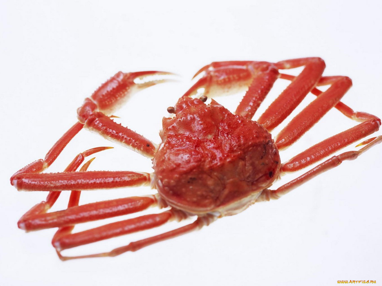 еда, рыба, морепродукты, суши, роллы