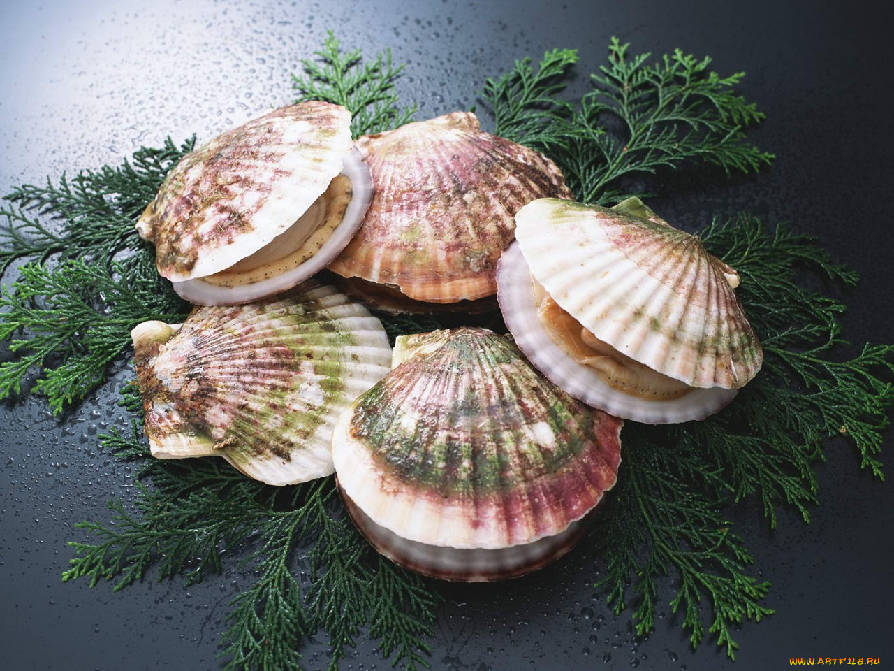 еда, рыба, морепродукты, суши, роллы