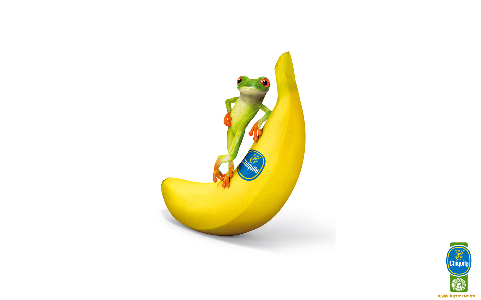 бренды, chiquita