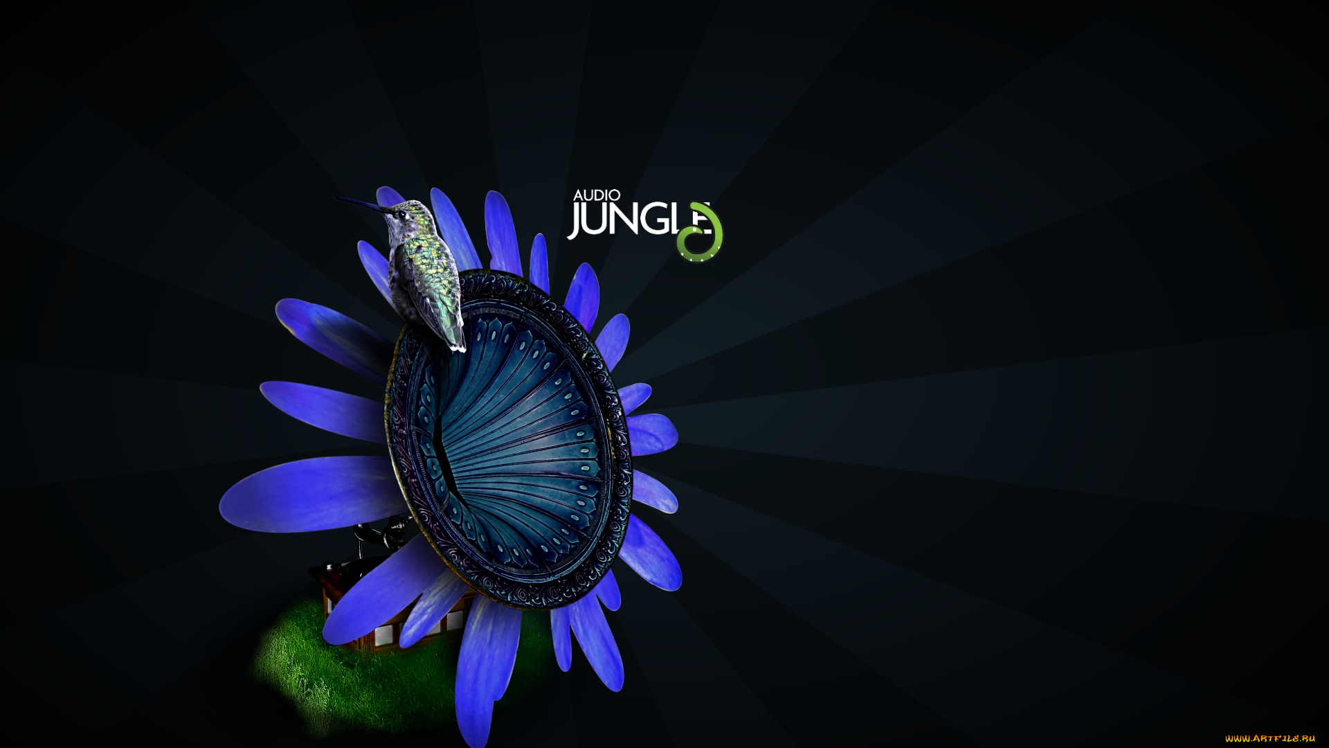 3д, графика, flowers, цветы