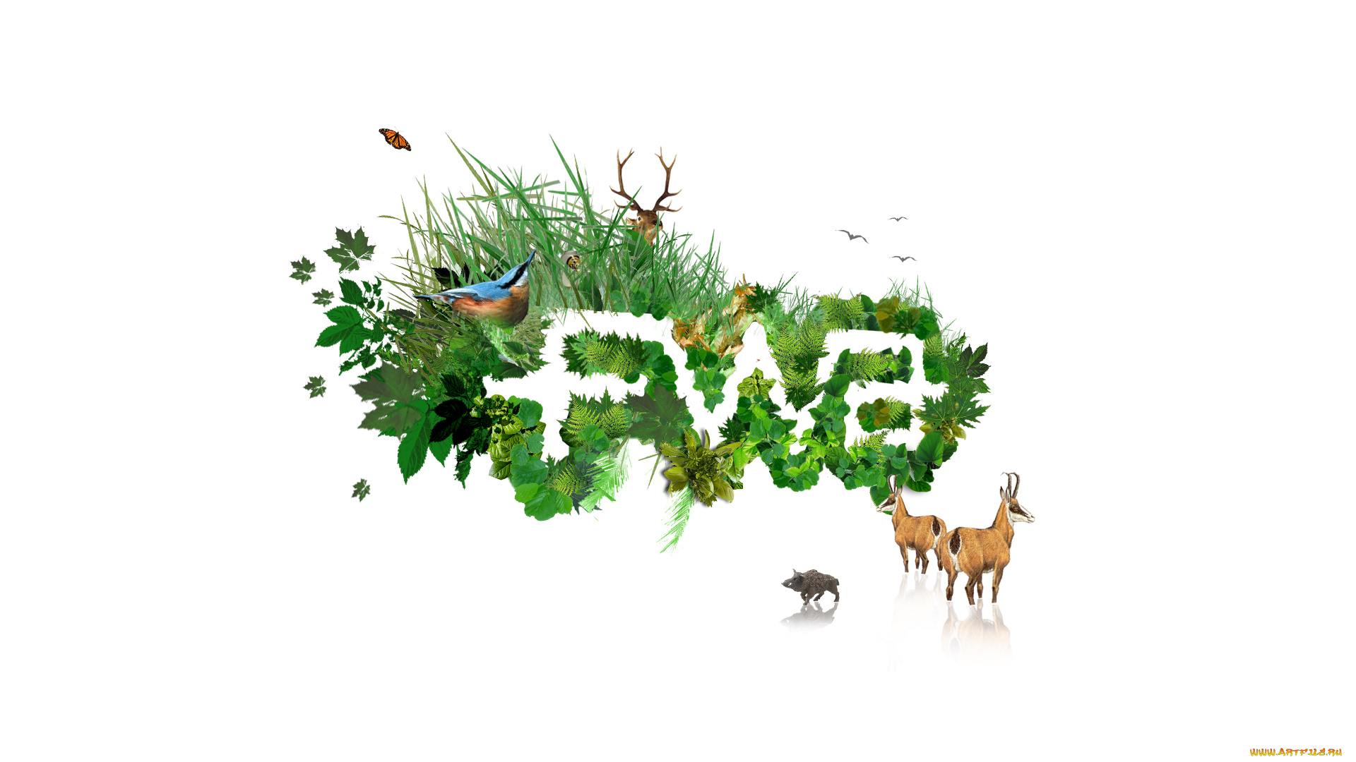 векторная, графика